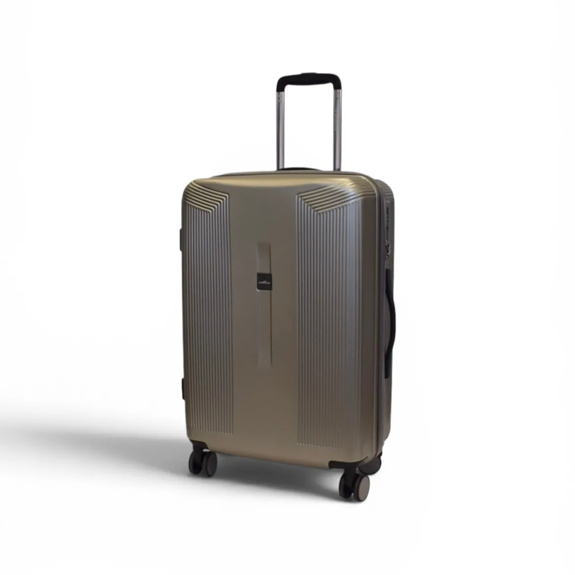 Valise Medium Plume - Argent